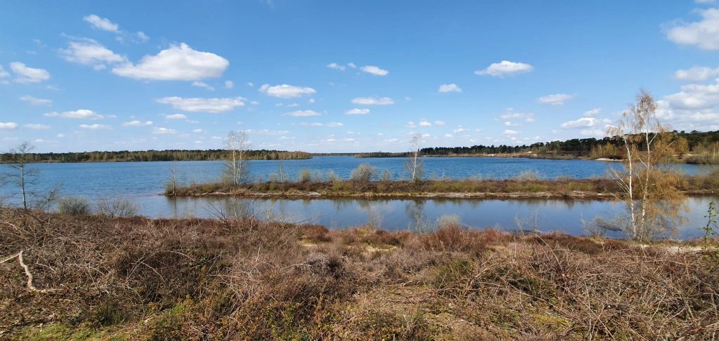 Foto bij Rondwandeling door Nationaal Park De Maasduinen