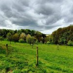 Foto 7 bij Park Gravenrode en Peschbeemden vanaf Megaland