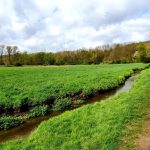 Foto 4 bij Park Gravenrode en Peschbeemden vanaf Megaland