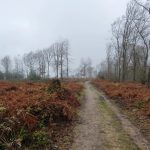 Foto 14 bij Van het hoogste dorp in Nederland, naar het hoogste punt van NL