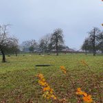 Foto 4 bij Van het hoogste dorp in Nederland, naar het hoogste punt van NL