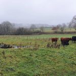Foto 15 bij Van het hoogste dorp in Nederland, naar het hoogste punt van NL