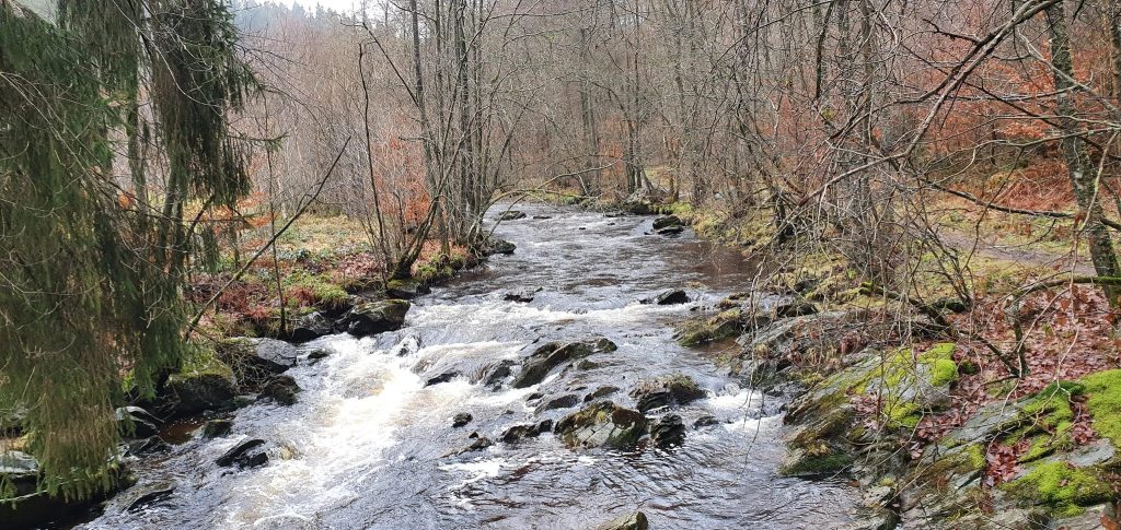 Foto bij Monschau: het romantische Roerdal en het dal van de Perlenbach