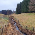 Foto 5 bij Monschau romantisch Rurtal en Perlenbachtal