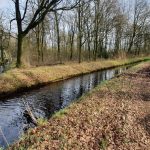 Foto 6 bij NP De Groote Peel rondwandeling