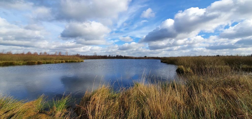 Foto bij NP De Groote Peel rondwandeling