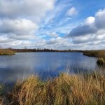 Foto 5 bij NP De Groote Peel rondwandeling