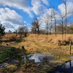 Foto 4 bij NP De Groote Peel rondwandeling