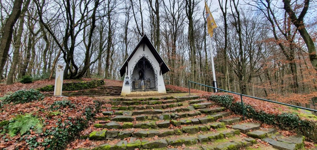 Foto bij Door de ENSU