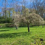 Foto 4 bij Rondwandeling Scharn- Bemelen- Cadier & Keer 16km