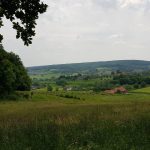 Foto 2 bij 25.05.2019 Rondom Epen