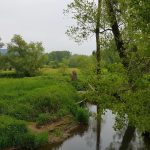 Foto 5 bij 25.05.2019 Rondom Epen