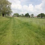 Foto 14 bij 25.05.2019 Rondom Epen