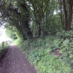 Foto 8 bij 25.05.2019 Rondom Epen