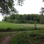 Foto 4 bij 25.05.2019 Rondom Epen