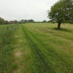 Foto 10 bij 25.05.2019 Rondom Epen