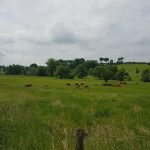 Foto 3 bij Nijswiller, Vijlen Met RugZak