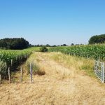 Foto 14 bij Geertruid-Gronsveld-Margraten-Geertruid
