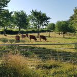 Foto 5 bij Geertruid-Gronsveld-Margraten-Geertruid