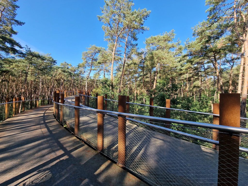 Foto bij Fietsen door de bomen