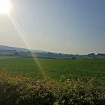 Foto 4 bij Mechelen-Pesaken-Cottessen en terug