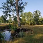 Foto 15 bij Mechelen-Pesaken-Cottessen en terug
