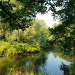 Foto 1 bij Mechelen-Pesaken-Cottessen en terug