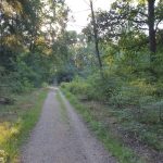 Foto 2 bij Nationaal Park De Meinweg 🌳🌲☀️🌡30.07.2019