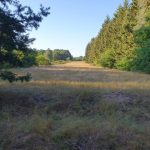 Foto 5 bij Nationaal Park De Meinweg 🌳🌲☀️🌡30.07.2019