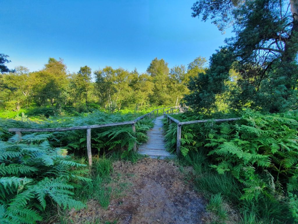Foto bij Nationaal Park De Meinweg