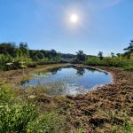Foto 15 bij Nationaal Park De Meinweg 🌳🌲☀️🌡30.07.2019