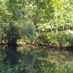 Foto 8 bij Nationaal Park De Meinweg 🌳🌲☀️🌡30.07.2019