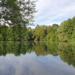 Foto 1 bij Broichbachtal H'rath-Broicher Siedlung-H'rath 🌻🌤🌳 31.07.2019
