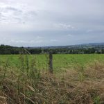 Foto 3 bij Mechelen, Cottessen, Landsrade, Mechelen 👫🌳🌤 11.08.2019