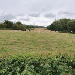 Foto 10 bij Mechelen, Cottessen, Landsrade, Mechelen 👫🌳🌤 11.08.2019