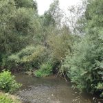 Foto 15 bij Mechelen, Cottessen, Landsrade, Mechelen 👫🌳🌤 11.08.2019