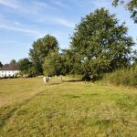 Foto 6 bij Mechelen- Terziet met vrienden 👫🌞🌾 25.08.2019