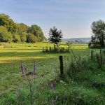 Foto 10 bij Mechelen- Terziet met vrienden 👫🌞🌾 25.08.2019