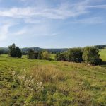 Foto 14 bij Mechelen- Terziet met vrienden 👫🌞🌾 25.08.2019