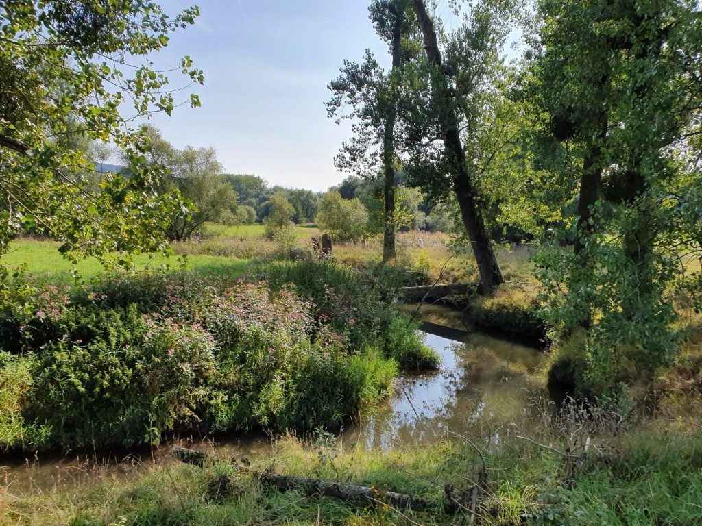 Foto bij Mechelen- Terziet met vrienden