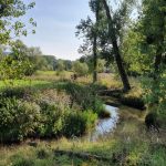 Foto 1 bij Mechelen- Terziet met vrienden 👫🌞🌾 25.08.2019
