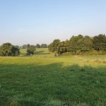Foto 6 bij Mechelen, Epen, Vijlenerbos 🌞🚶🏼‍♂️🐸