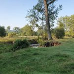 Foto 4 bij Mechelen, Epen, Vijlenerbos 🌞🚶🏼‍♂️🐸