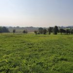 Foto 14 bij Mechelen, Epen, Vijlenerbos 🌞🚶🏼‍♂️🐸