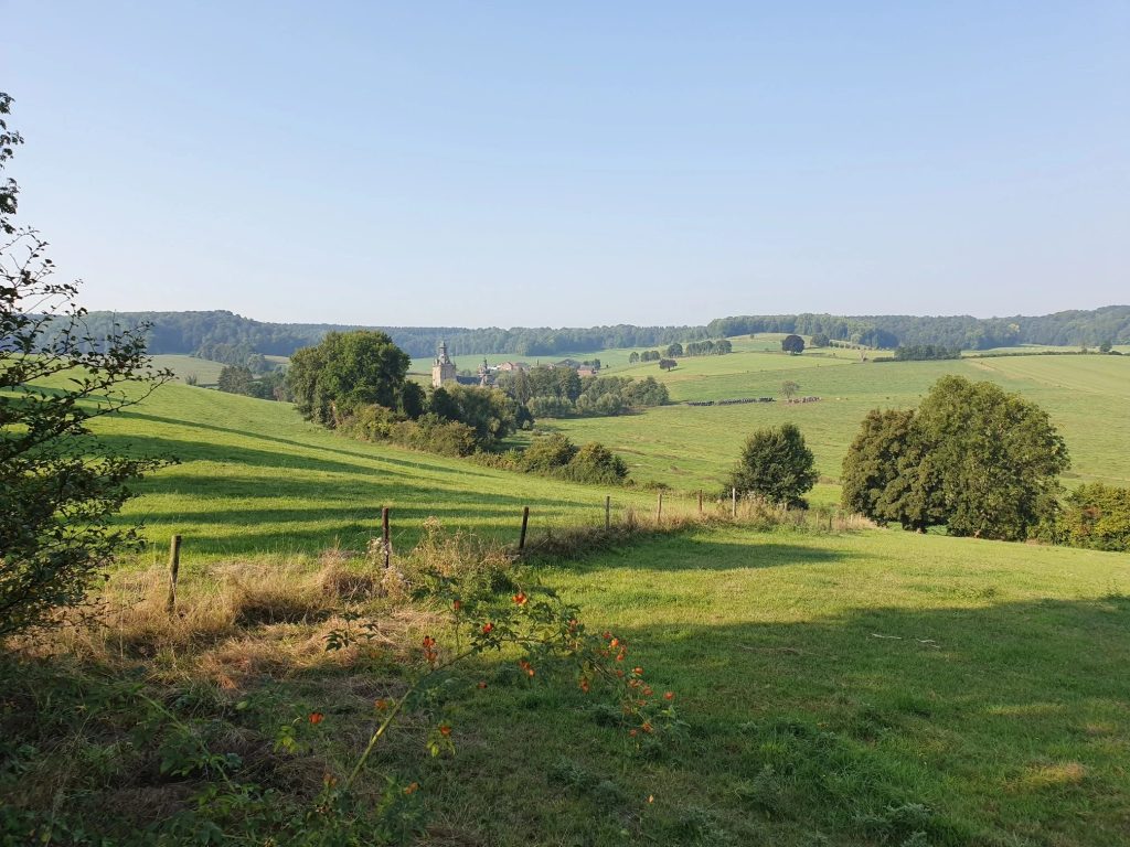 Foto bij Mechelen, Epen, Vijlenerbos