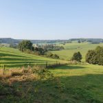 Foto 1 bij Mechelen, Epen, Vijlenerbos 🌞🚶🏼‍♂️🐸