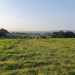 Foto 3 bij Vijlenerbos- Cottessen- Epen- Elzetterbos 🚶🏼‍♂️🌞🌳 27.08.2019