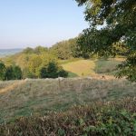 Foto 11 bij Vijlenerbos- Cottessen- Epen- Elzetterbos 🚶🏼‍♂️🌞🌳 27.08.2019
