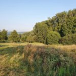 Foto 8 bij Vijlenerbos- Cottessen- Epen- Elzetterbos 🚶🏼‍♂️🌞🌳 27.08.2019