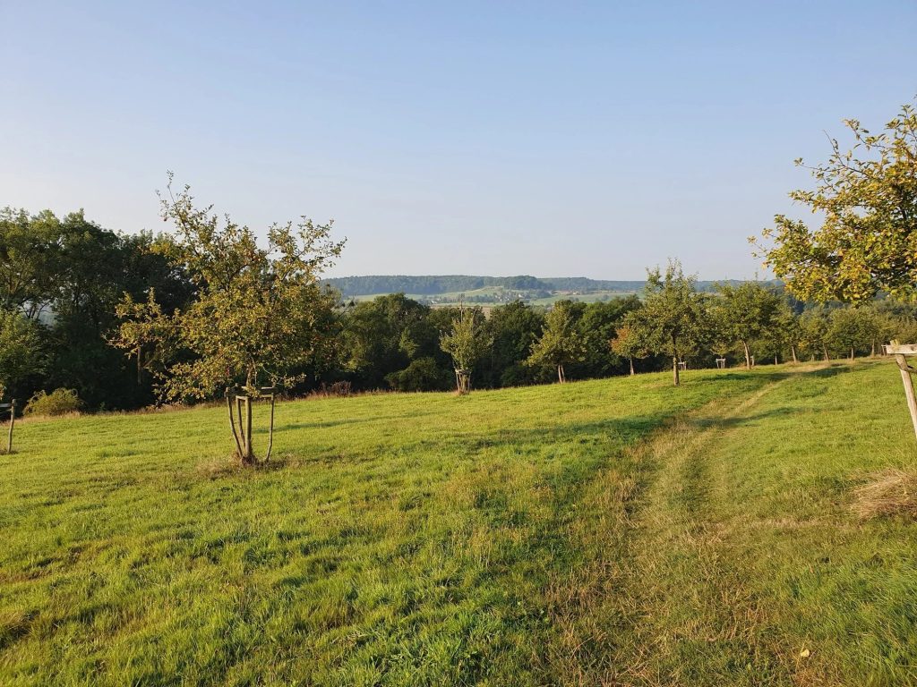 Foto bij Vijlenerbos- Cottessen- Epen- Elzetterbos
